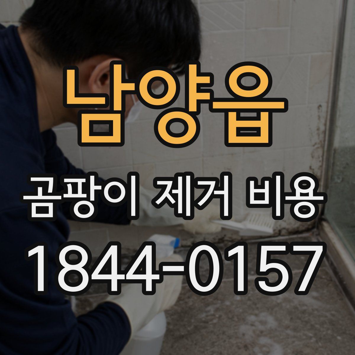 남양읍 곰팡이 제거 비용