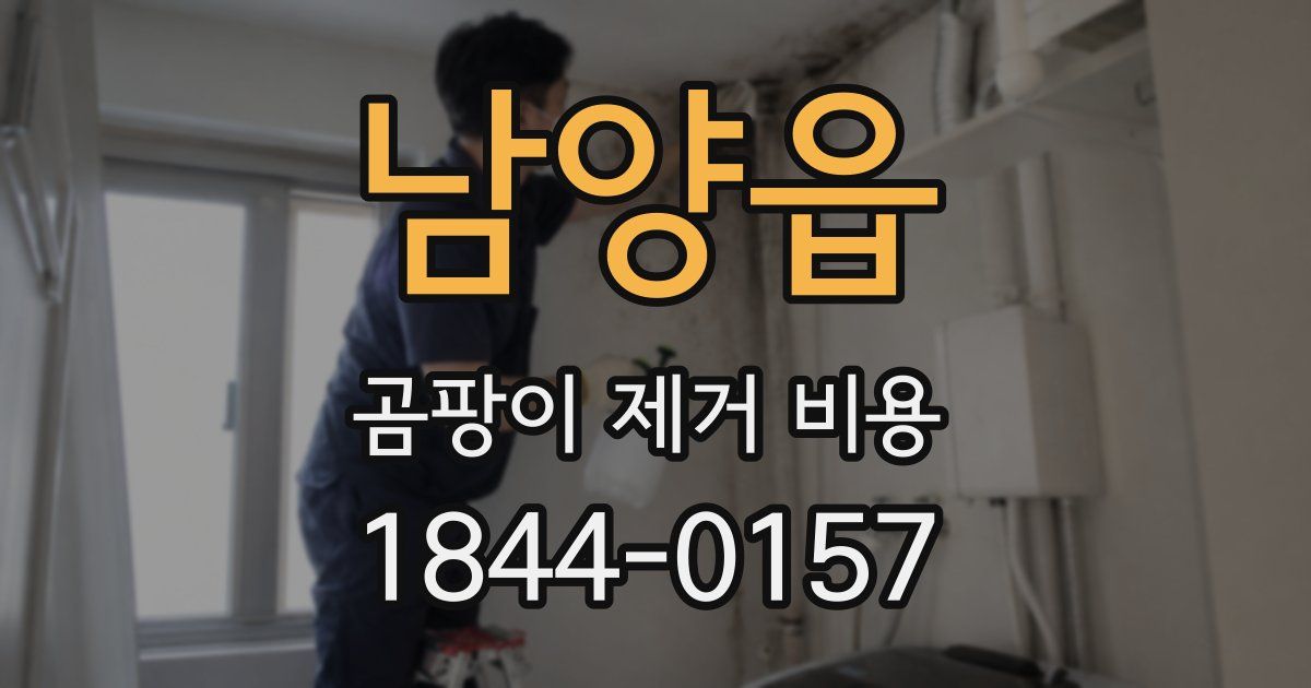 남양읍 곰팡이 제거 비용