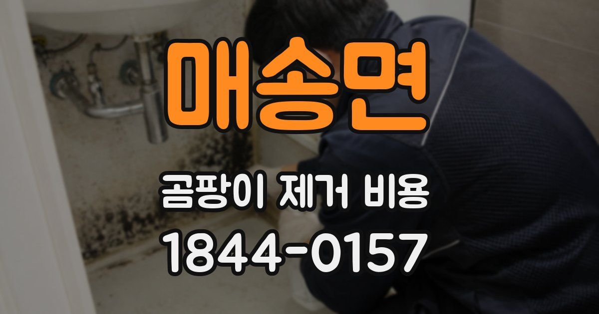매송면 곰팡이 제거 비용