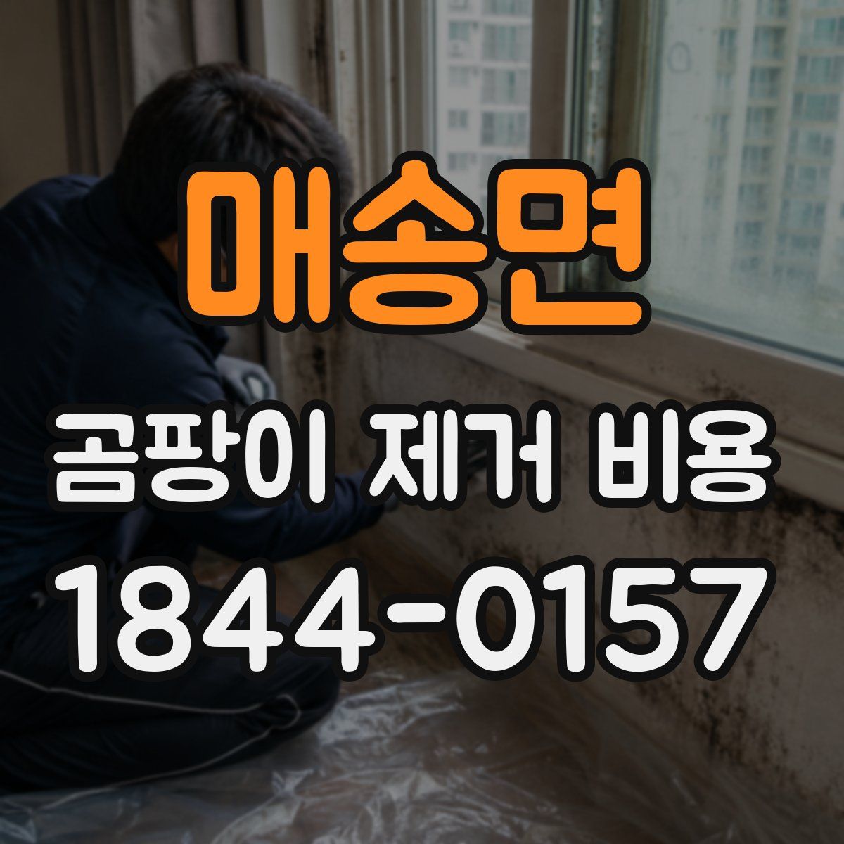 매송면 곰팡이 제거 비용