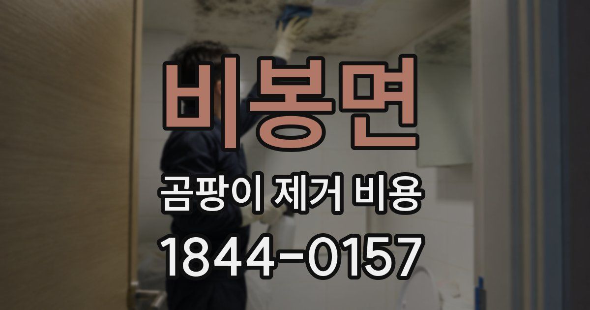 비봉면 곰팡이 제거 비용