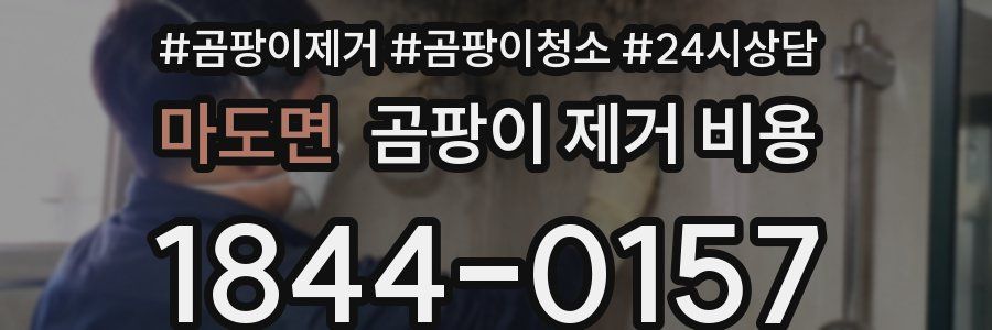 마도면 곰팡이 제거 비용