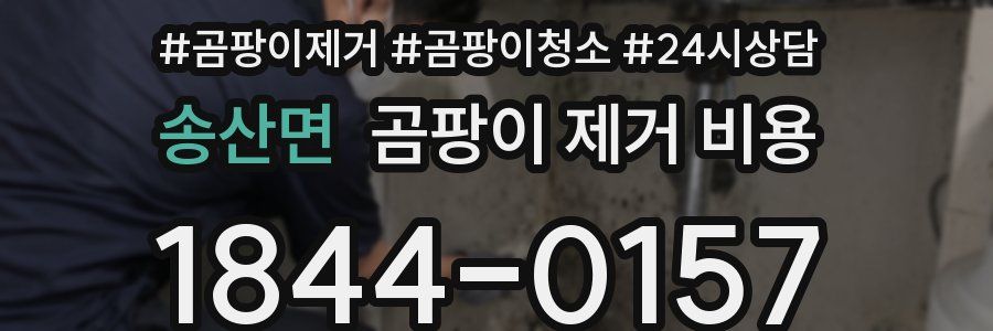 송산면 곰팡이 제거 비용