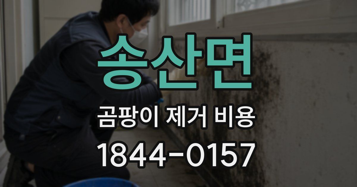 송산면 곰팡이 제거 비용