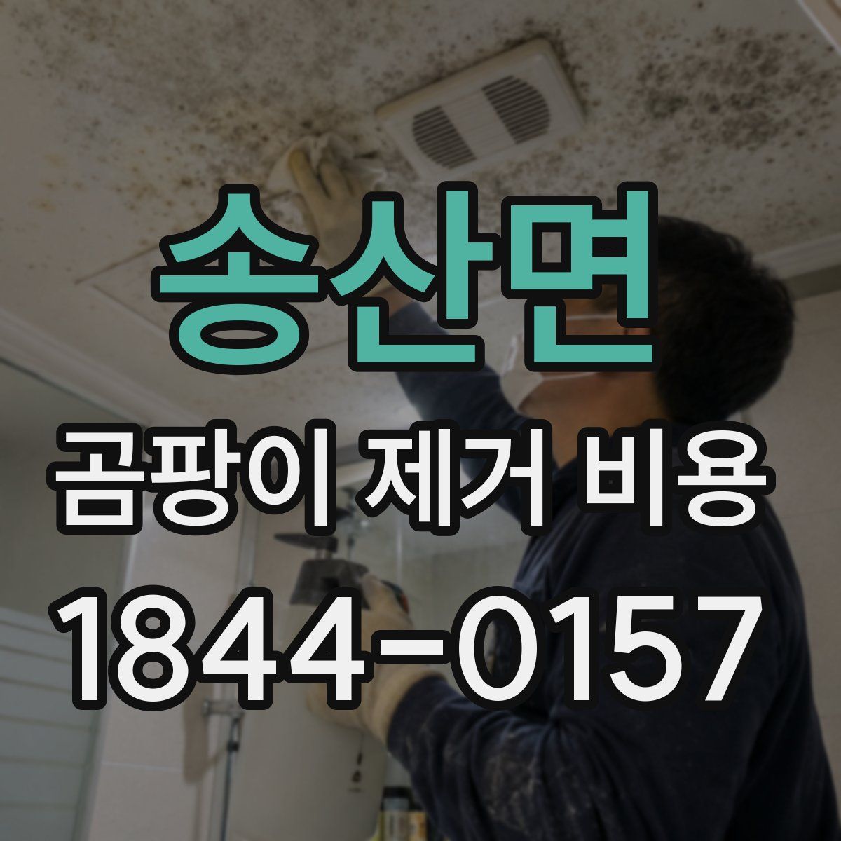 송산면 곰팡이 제거 비용