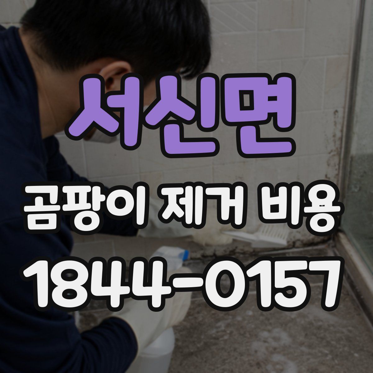 서신면 곰팡이 제거 비용