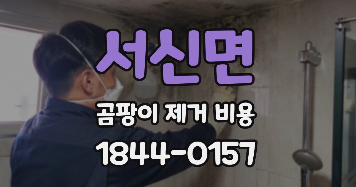 서신면 곰팡이 제거 비용