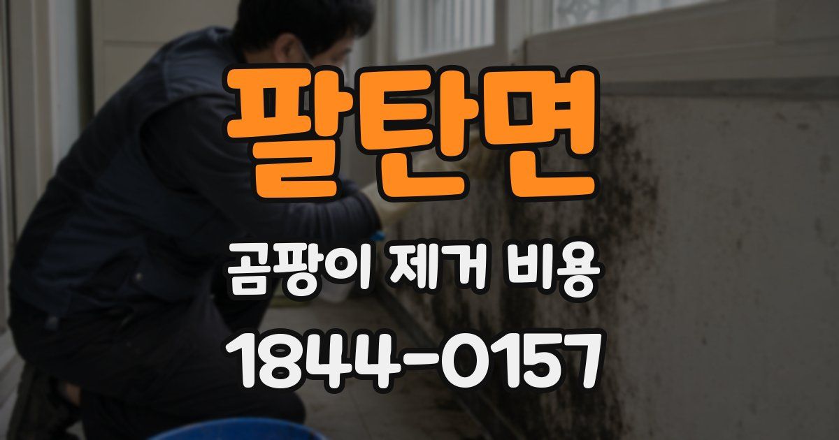 팔탄면 곰팡이 제거 비용