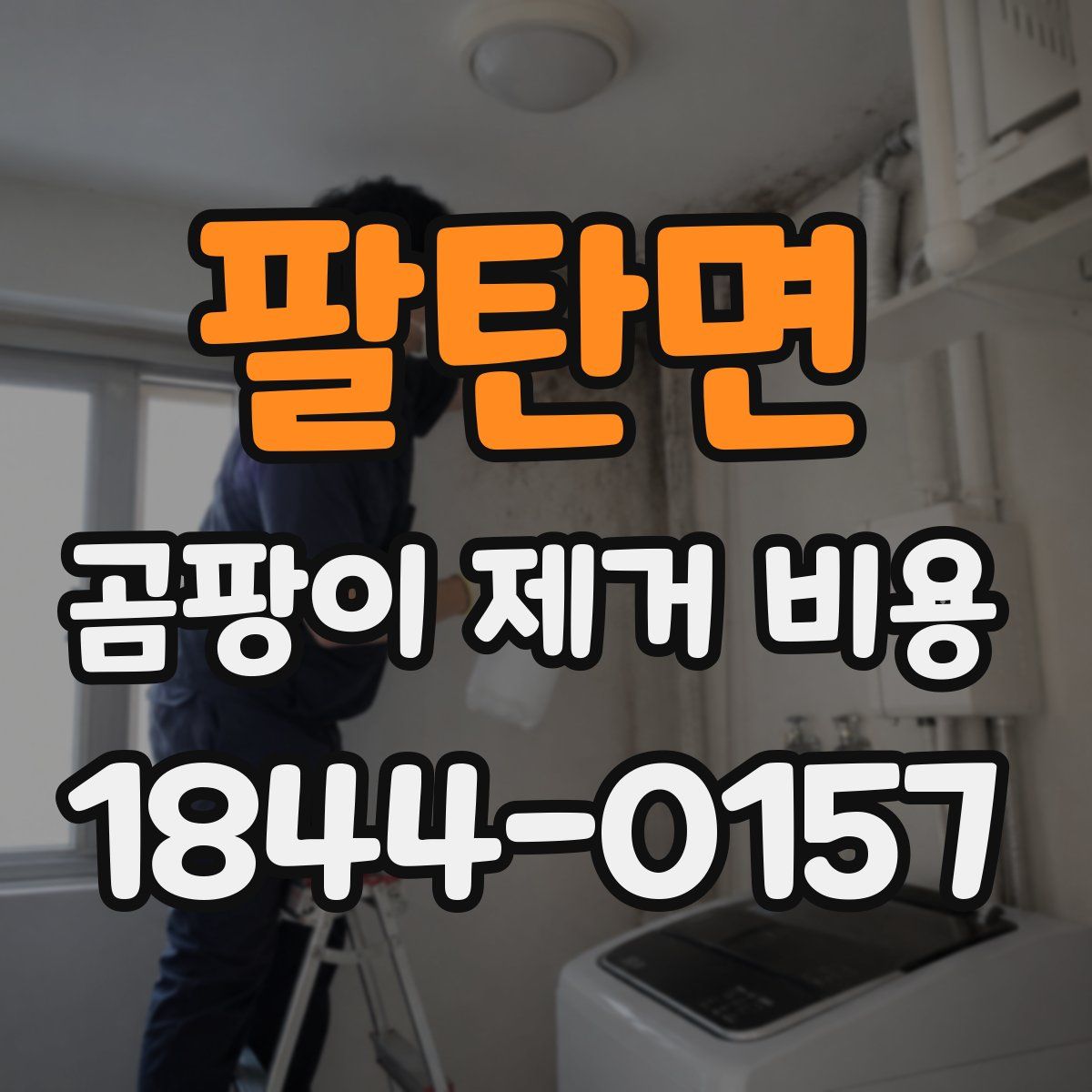 팔탄면 곰팡이 제거 비용