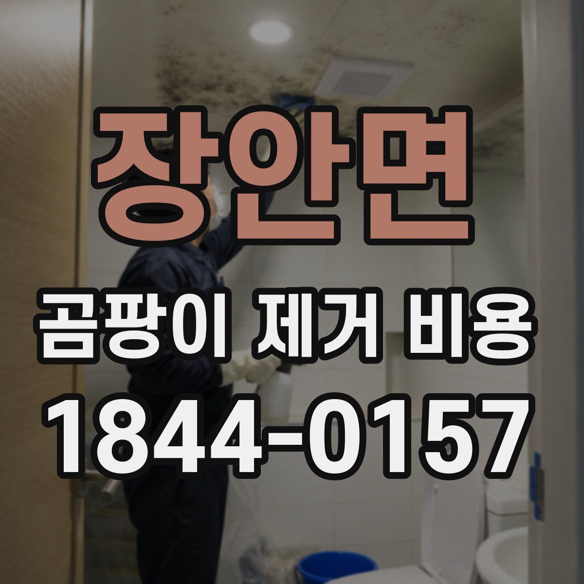 장안면 곰팡이 제거 비용