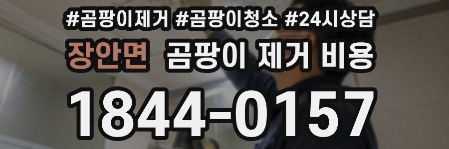 장안면 곰팡이 제거 비용