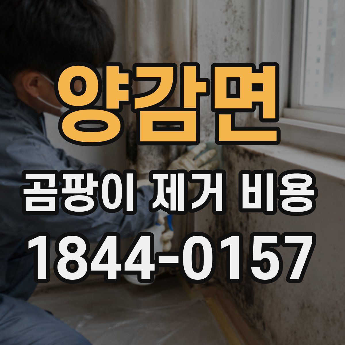 양감면 곰팡이 제거 비용