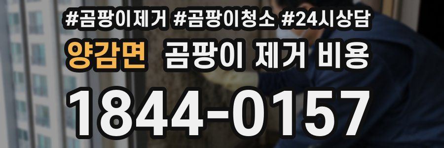 양감면 곰팡이 제거 비용