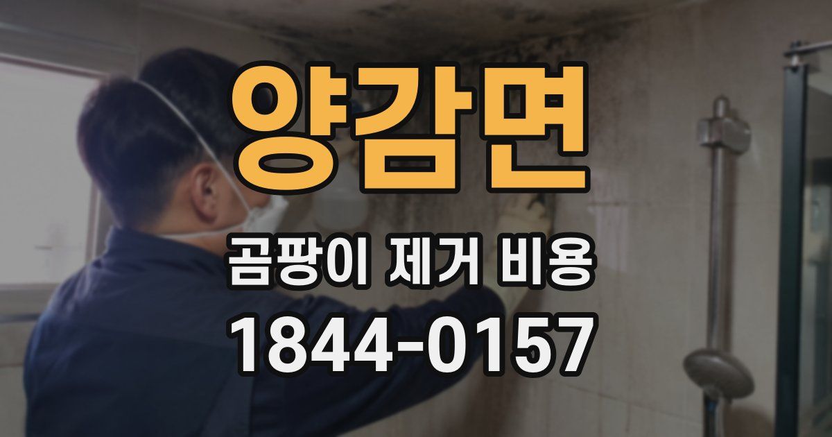 양감면 곰팡이 제거 비용