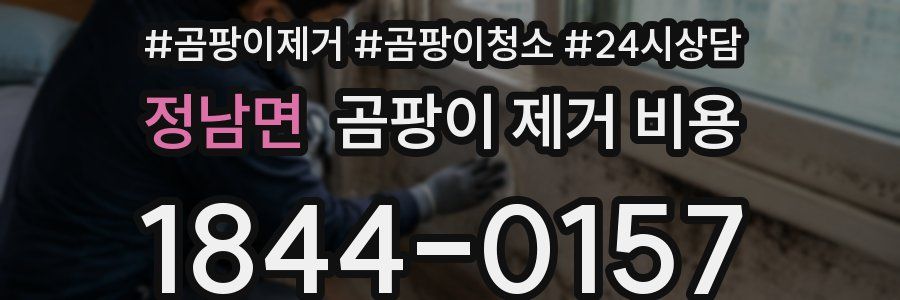 정남면 곰팡이 제거 비용