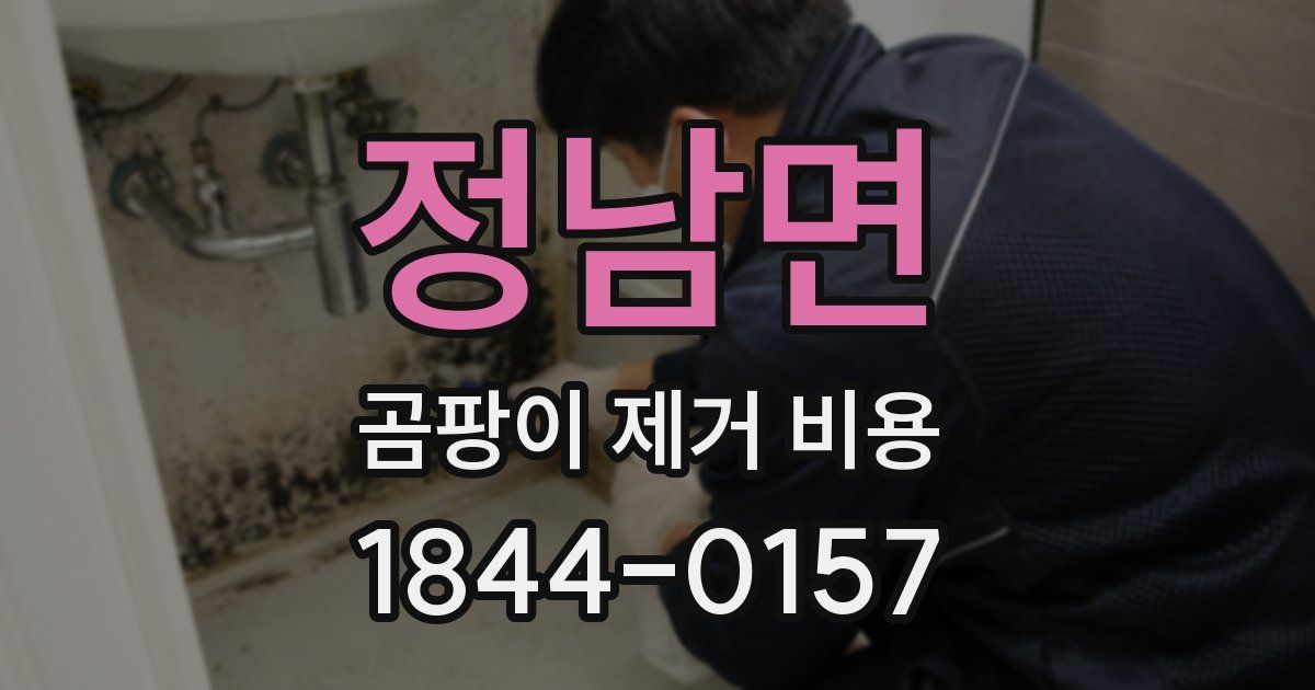 정남면 곰팡이 제거 비용