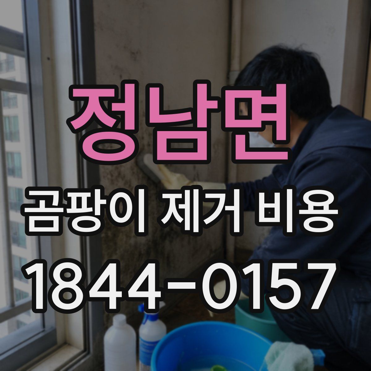 정남면 곰팡이 제거 비용