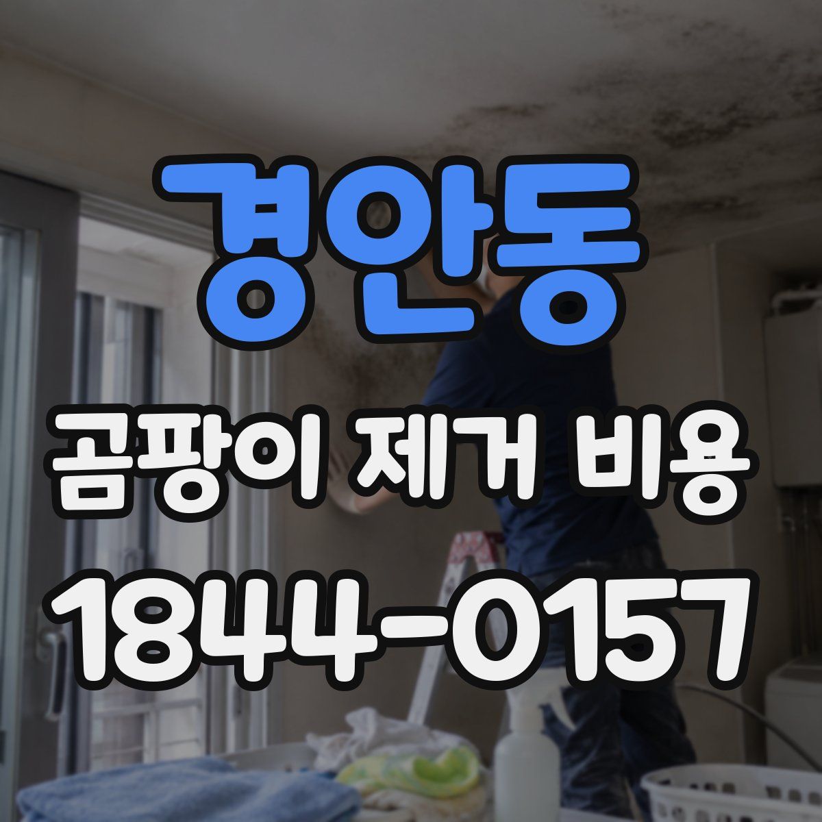 경안동 곰팡이 제거 비용