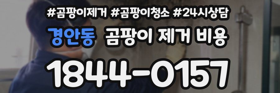 경안동 곰팡이 제거 비용