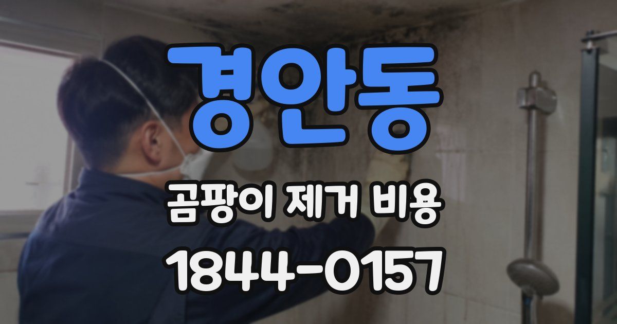 경안동 곰팡이 제거 비용