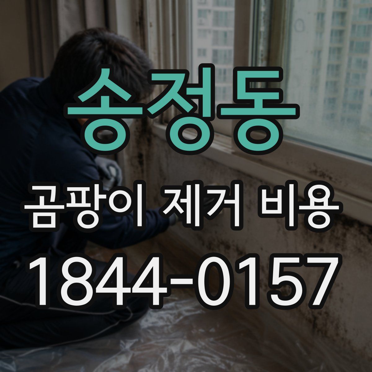 송정동 곰팡이 제거 비용