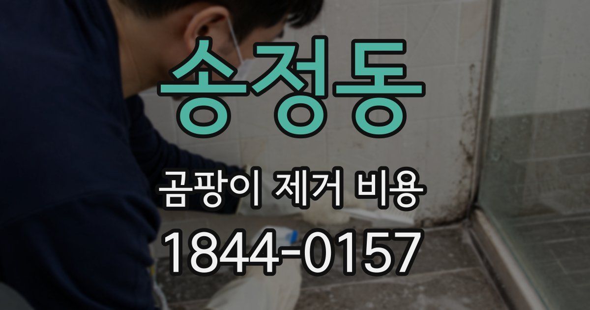 송정동 곰팡이 제거 비용
