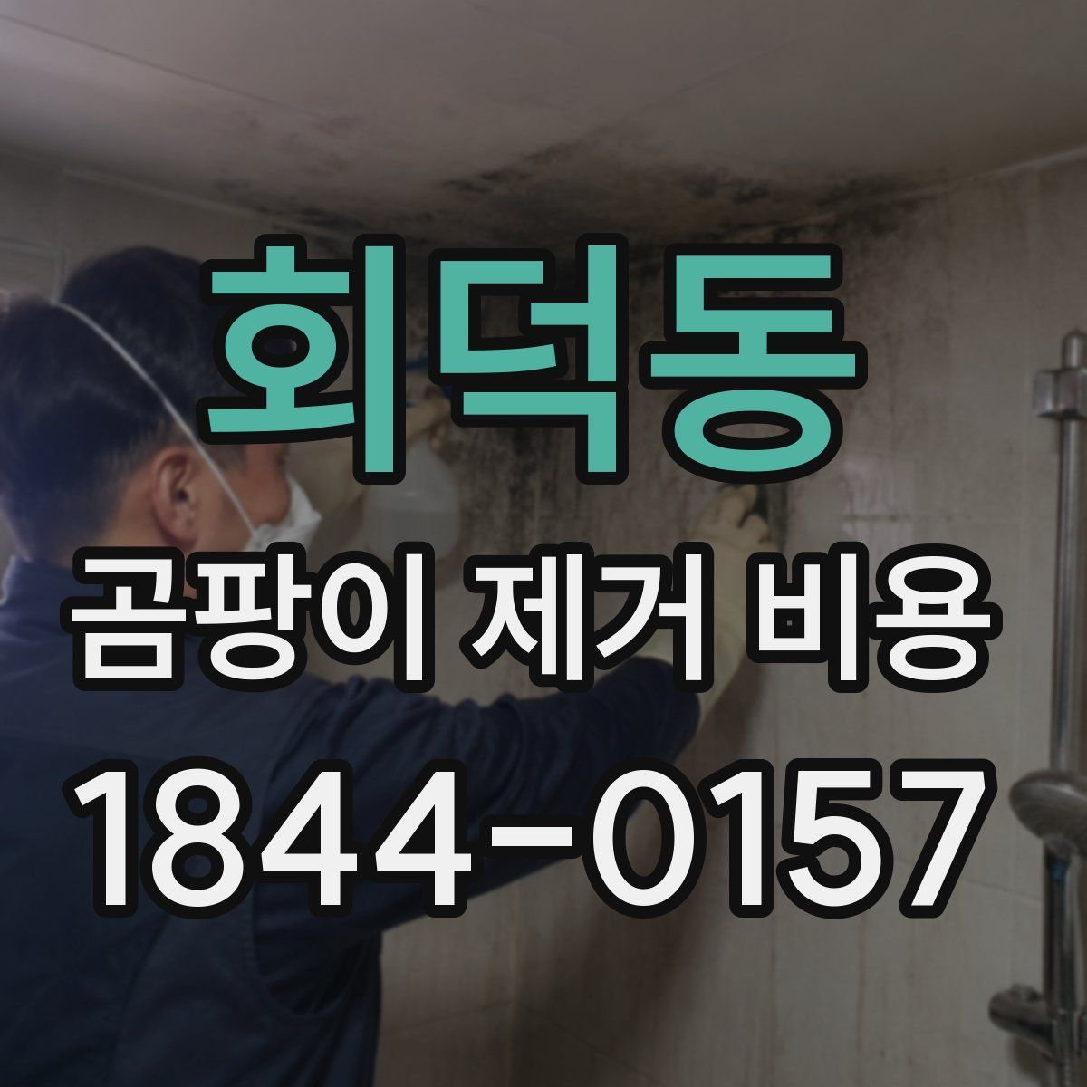 회덕동 곰팡이 제거 비용