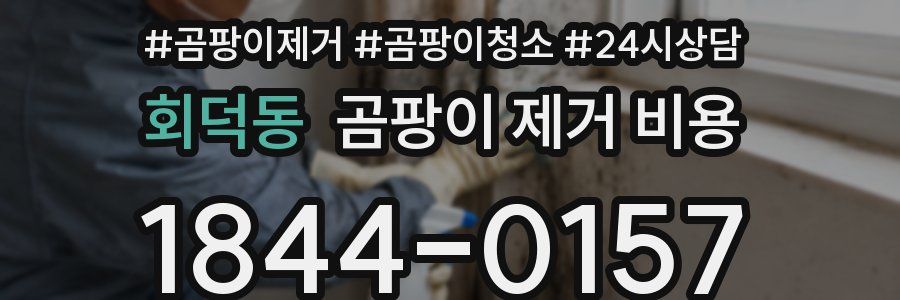 회덕동 곰팡이 제거 비용