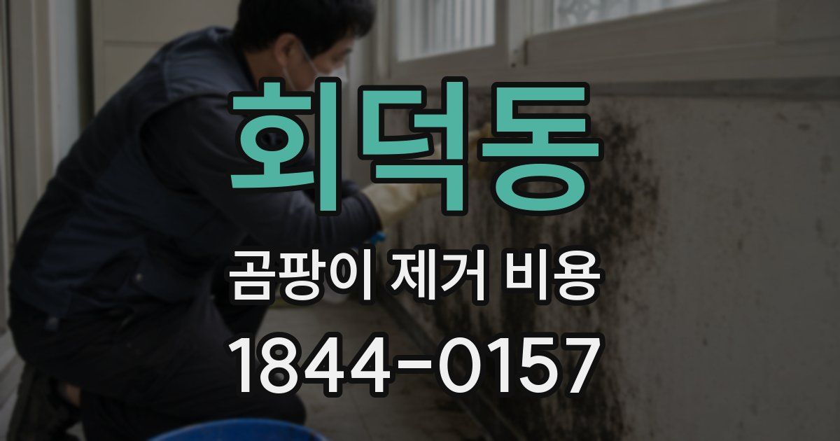 회덕동 곰팡이 제거 비용