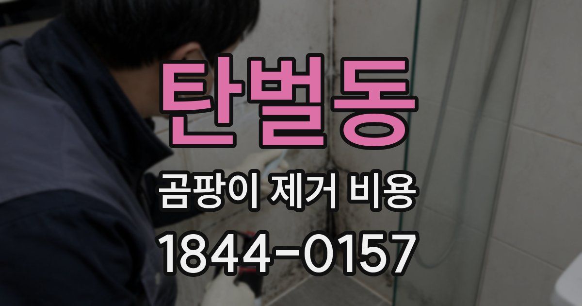 탄벌동 곰팡이 제거 비용