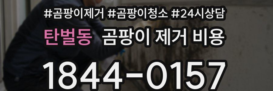 탄벌동 곰팡이 제거 비용