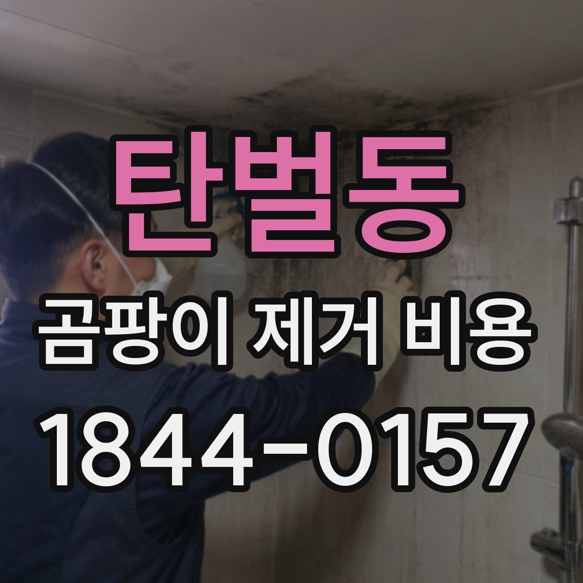 탄벌동 곰팡이 제거 비용