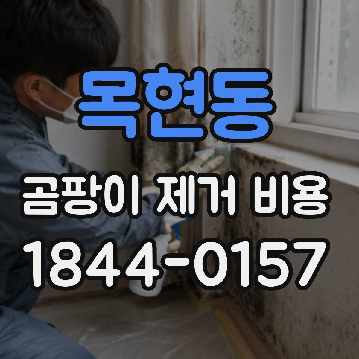 목현동 곰팡이 제거 비용