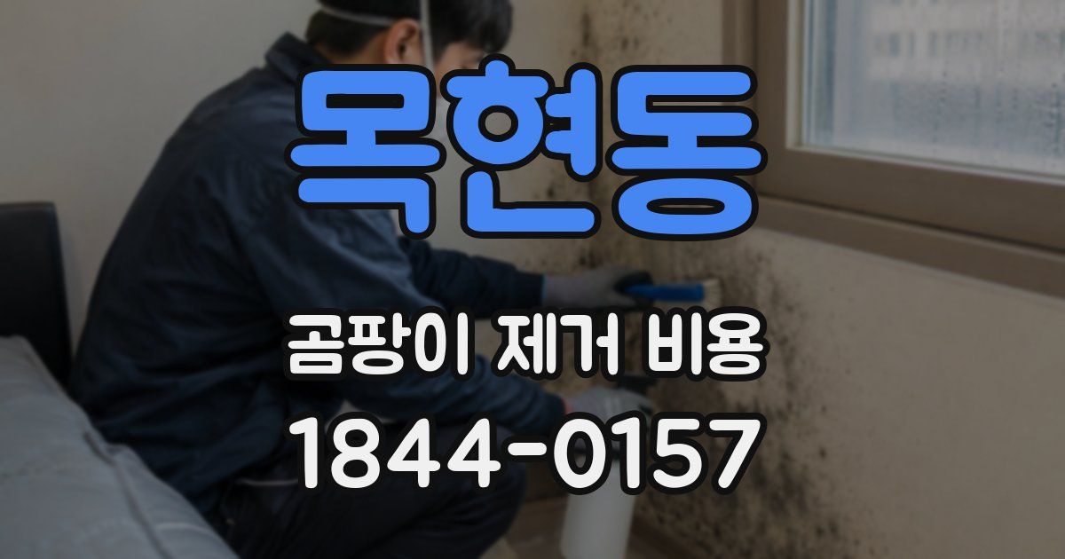 목현동 곰팡이 제거 비용