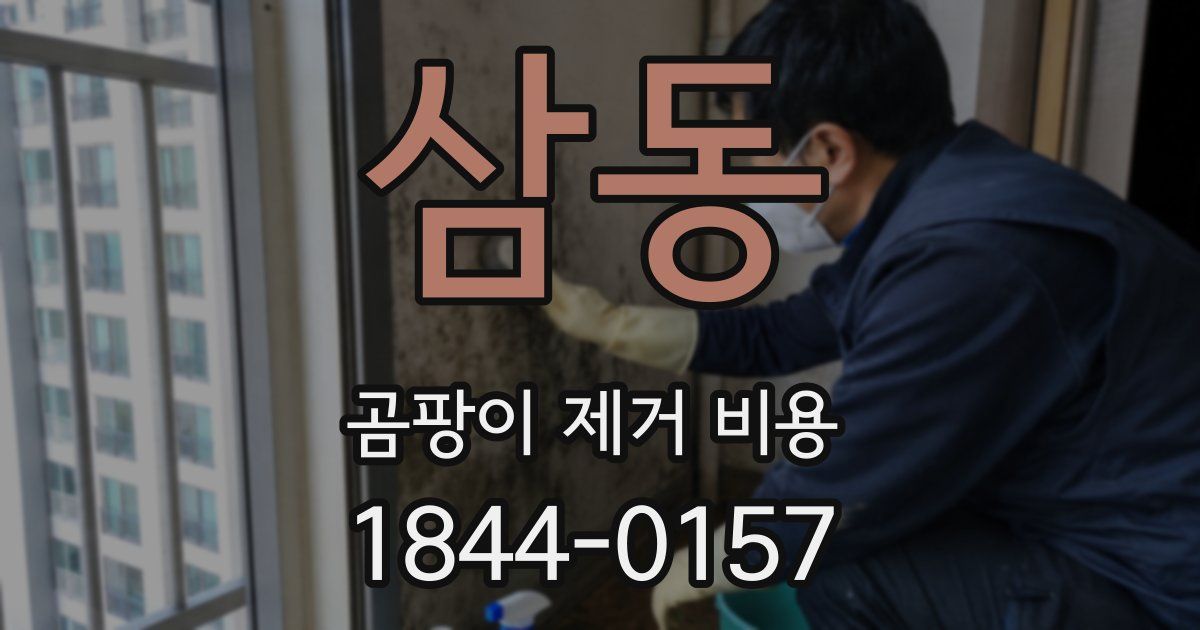 삼동 곰팡이 제거 비용