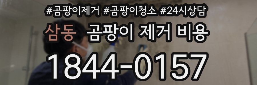 삼동 곰팡이 제거 비용