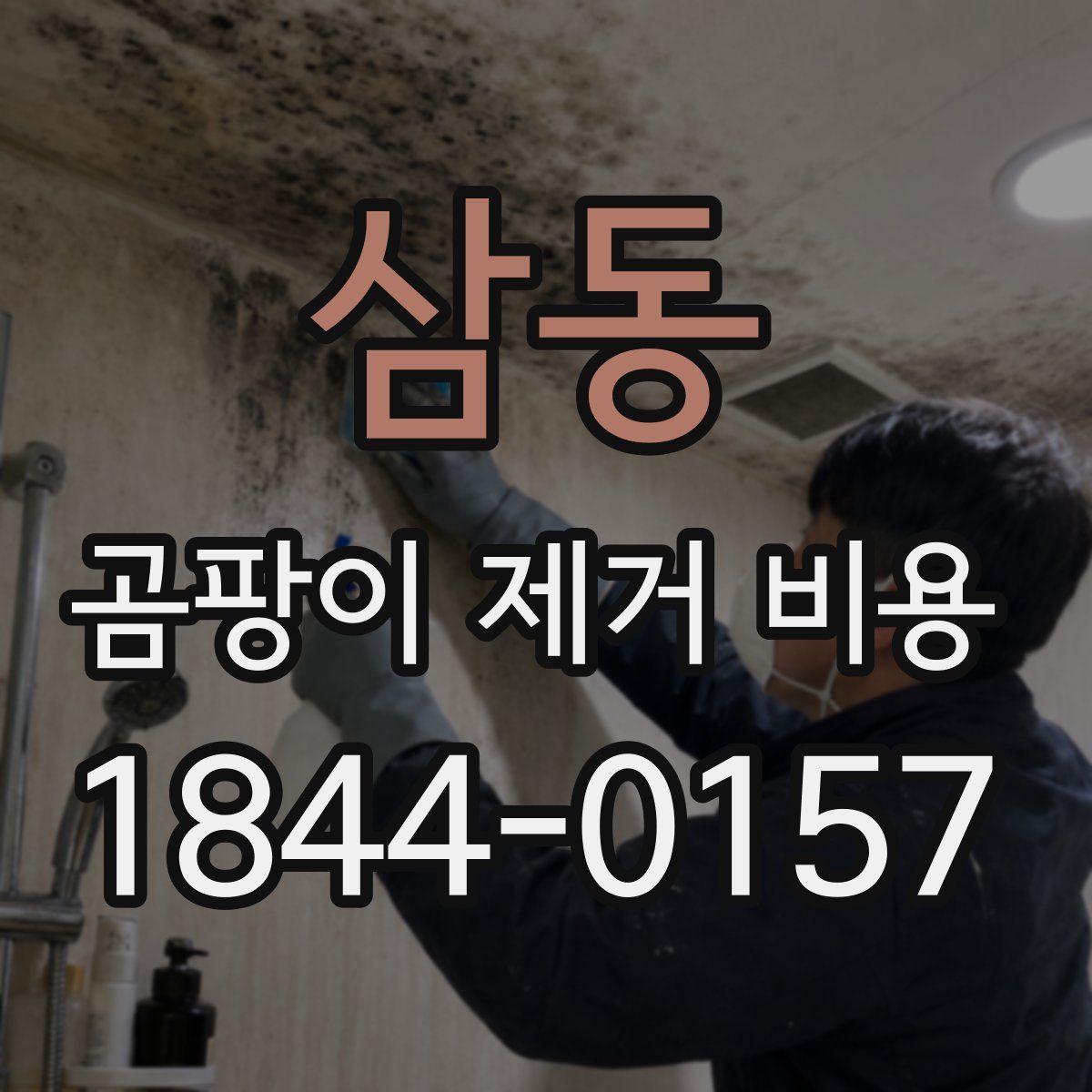삼동 곰팡이 제거 비용