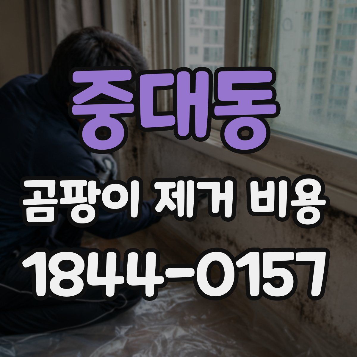 중대동 곰팡이 제거 비용