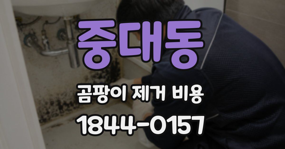 중대동 곰팡이 제거 비용