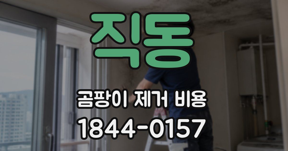 직동 곰팡이 제거 비용