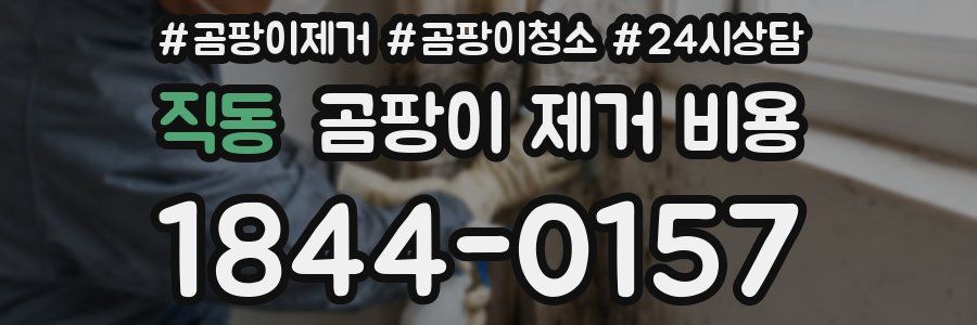 직동 곰팡이 제거 비용