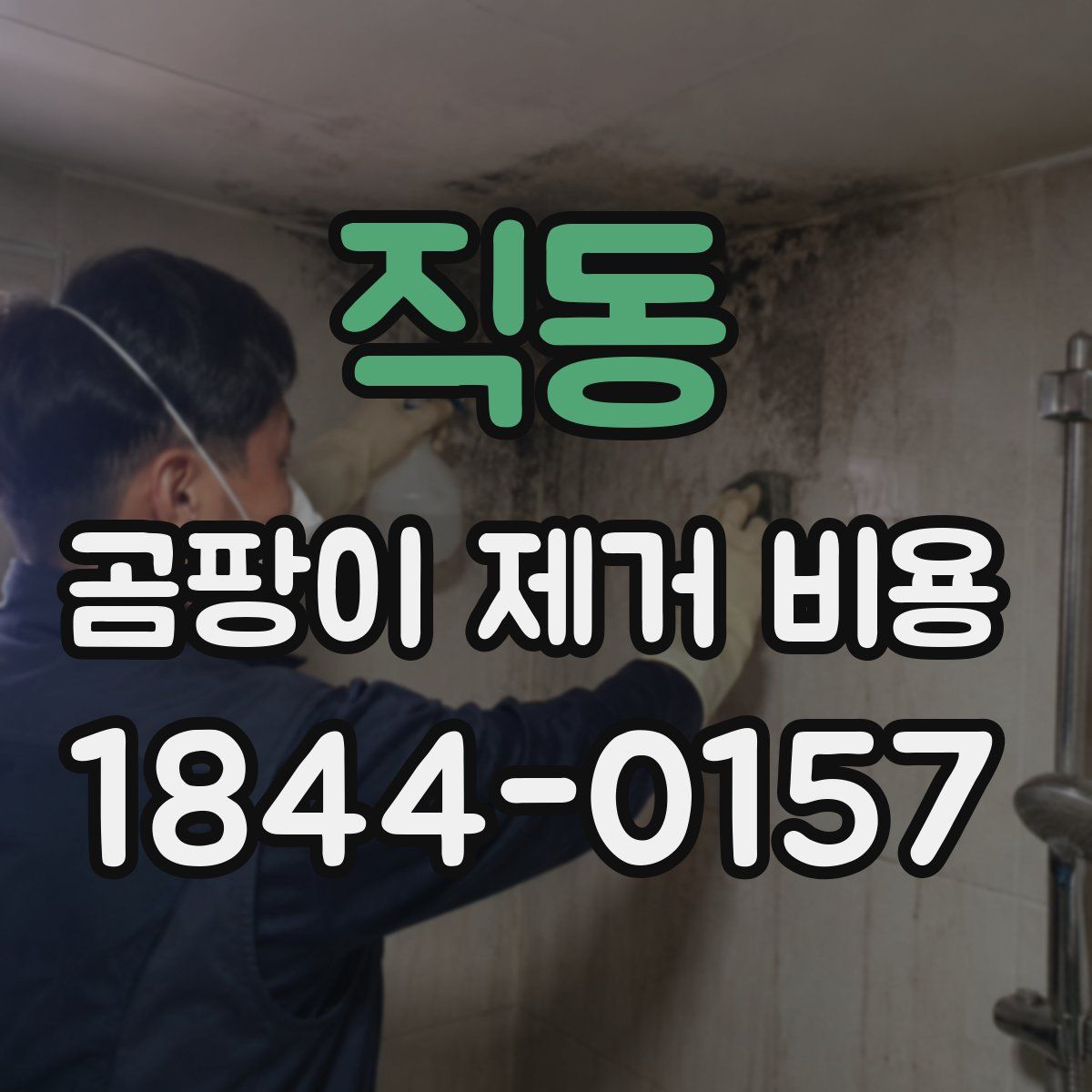 직동 곰팡이 제거 비용