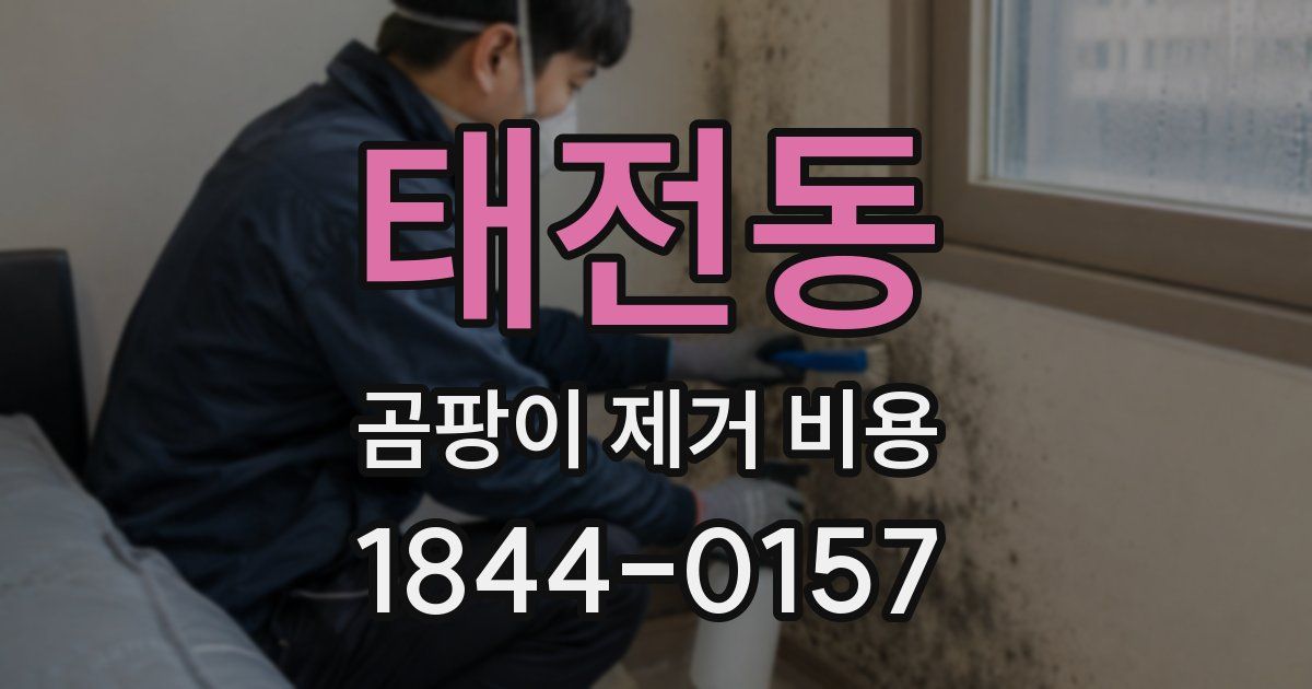 태전동 곰팡이 제거 비용