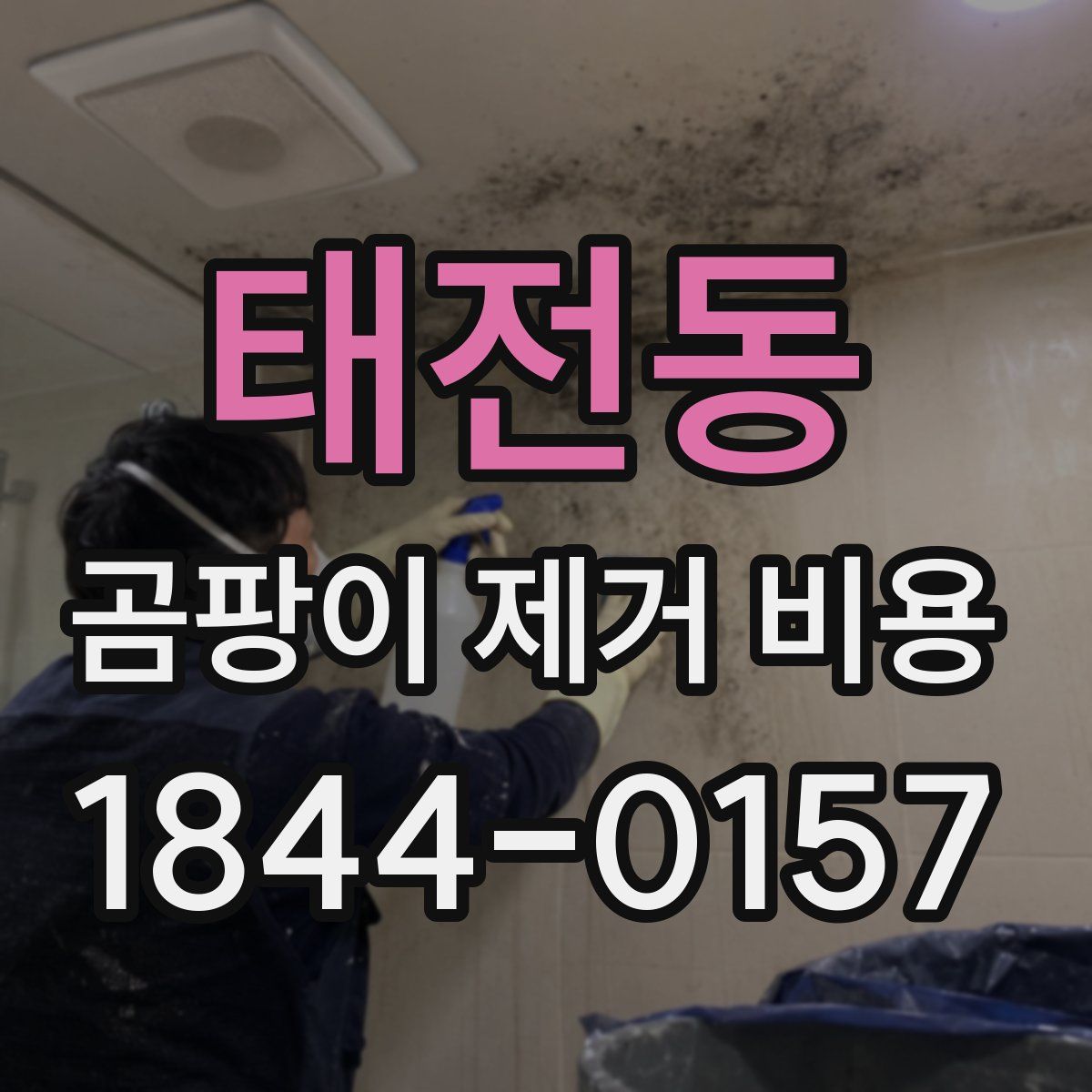 태전동 곰팡이 제거 비용