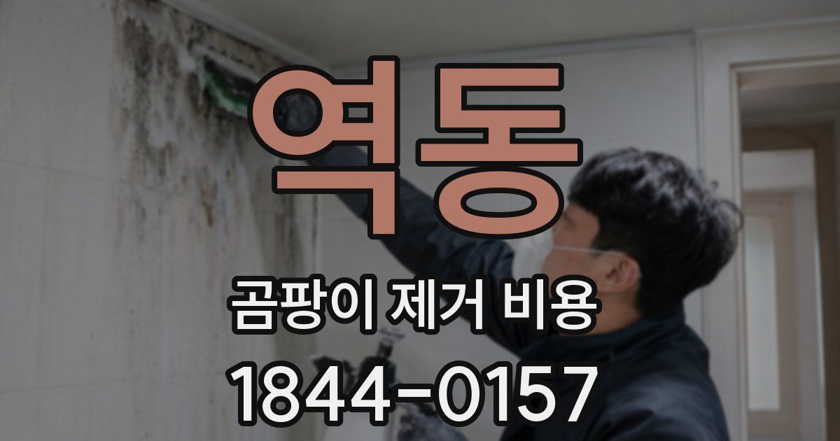 역동 곰팡이 제거 비용