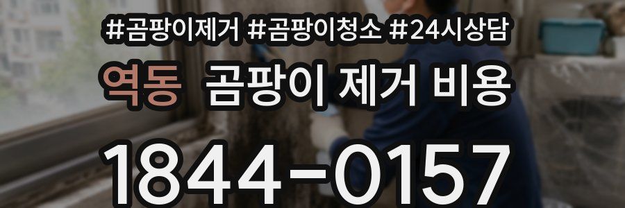 역동 곰팡이 제거 비용