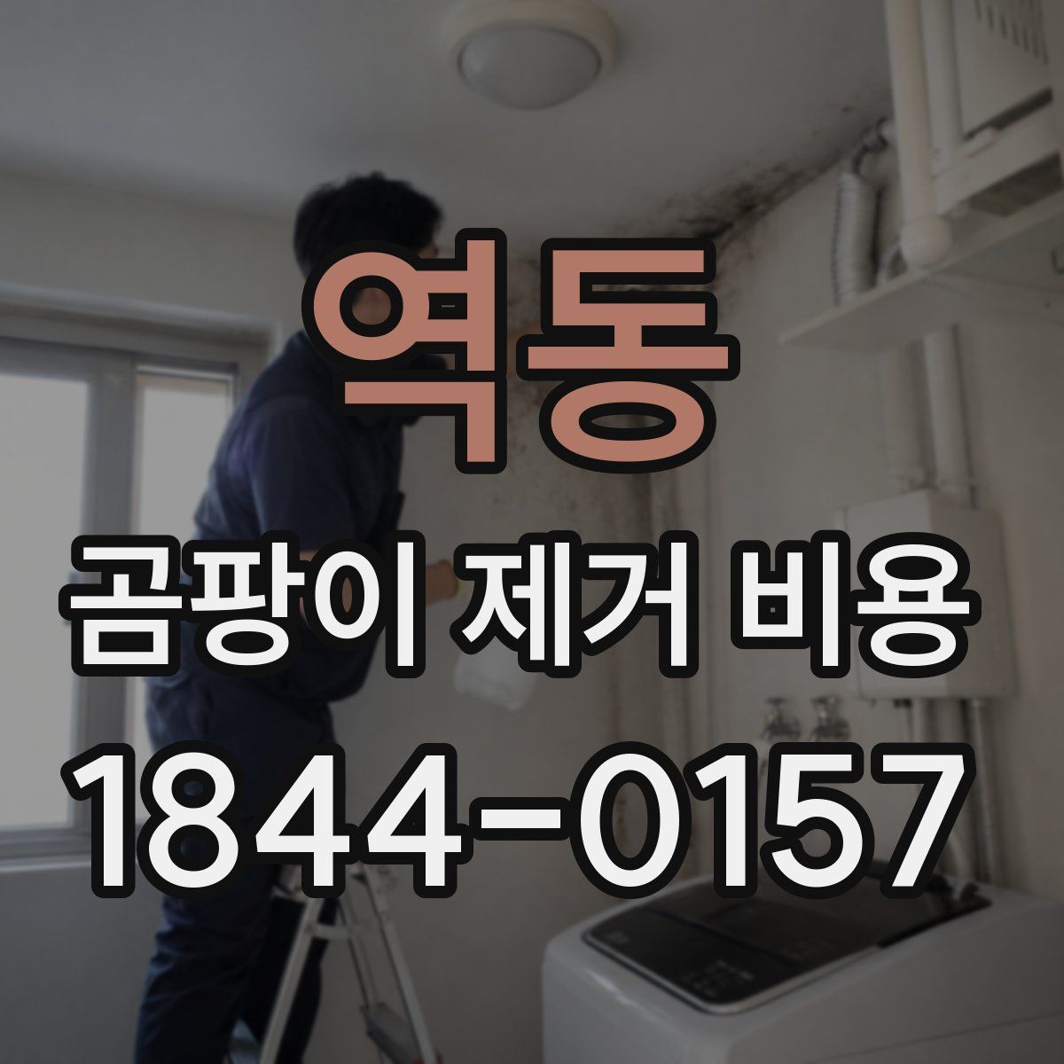 역동 곰팡이 제거 비용