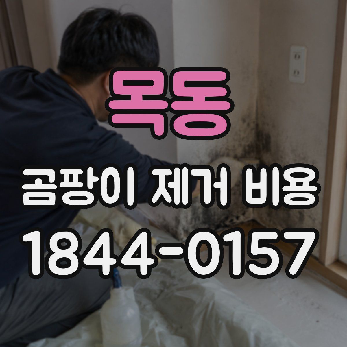 목동 곰팡이 제거 비용