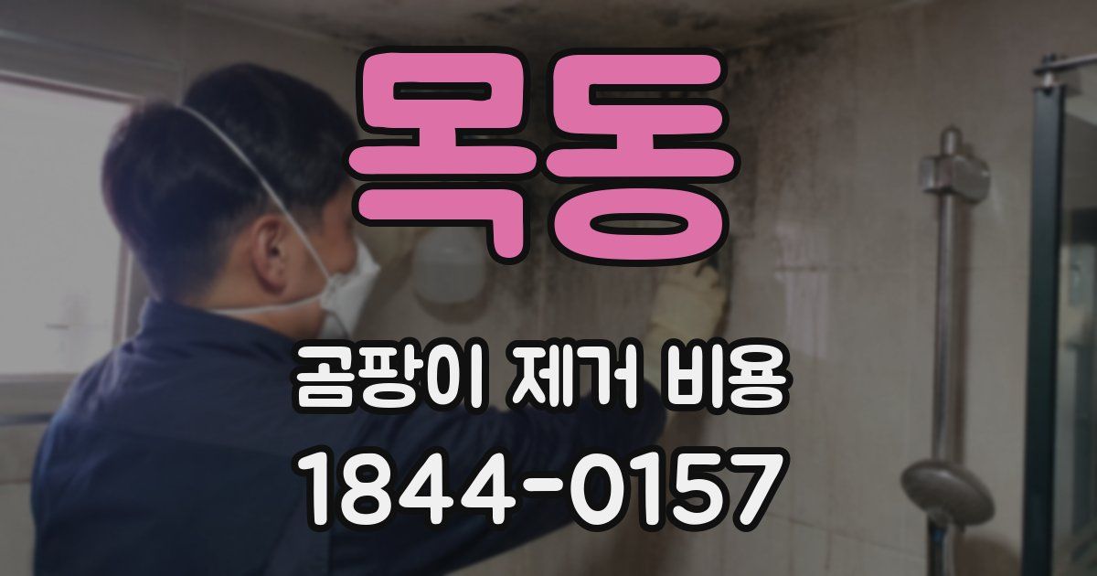 목동 곰팡이 제거 비용