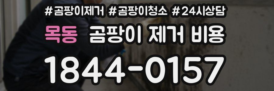 목동 곰팡이 제거 비용
